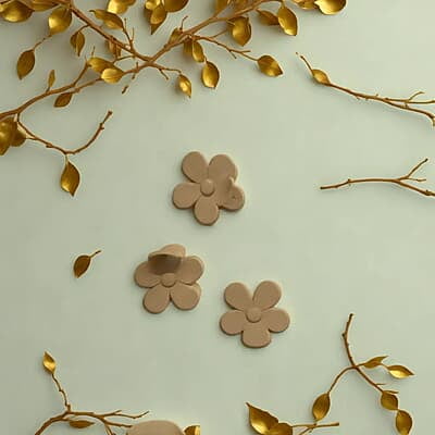 Mocha flower Mocha flower
